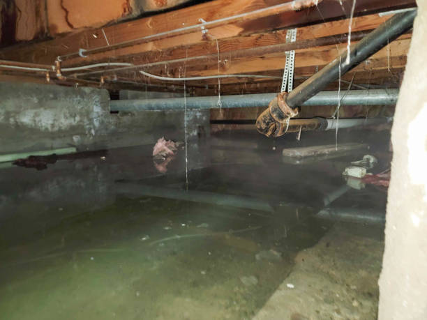 Best Carpet water damage restoration  in Manhattan Beach, CA