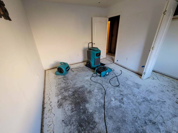 Best Water damage restoration cost  in Manhattan Beach, CA