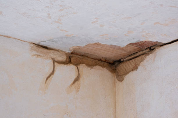 Best Water damage restoration mold remediation  in Manhattan Beach, CA