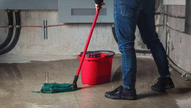 Best Professional water damage repair  in Manhattan Beach, CA