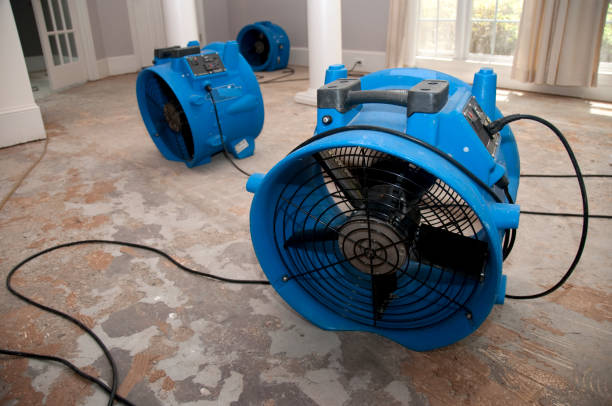 Best 24/7 water damage repair  in Manhattan Beach, CA