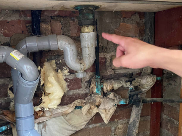 Best Water damage mitigation services  in Manhattan Beach, CA