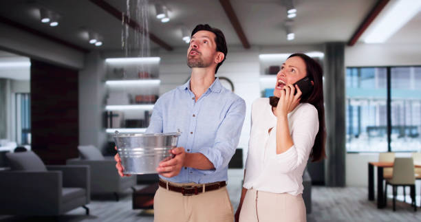 Best Water damage restoration near me  in Manhattan Beach, CA